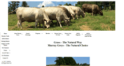 Desktop Screenshot of murraygreybeefcattle.com