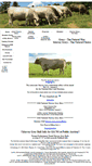 Mobile Screenshot of murraygreybeefcattle.com