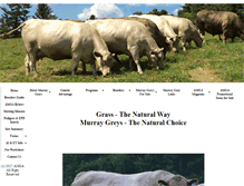Tablet Screenshot of murraygreybeefcattle.com